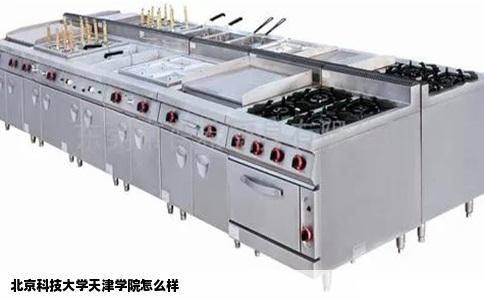 北京科技大学天津学院怎么样