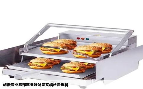 动漫专业怎样就业好吗是文科还是理科
