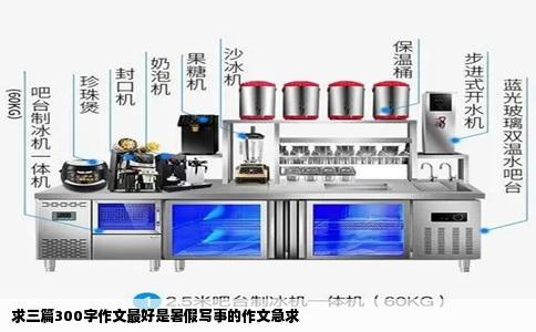求三篇300字作文最好是暑假写事的作文急求
