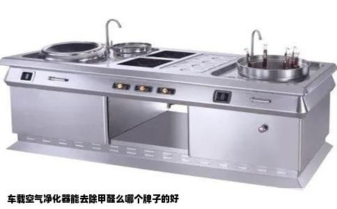 车载空气净化器能去除甲醛么哪个牌子的好