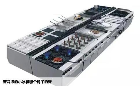 带冷冻的小冰箱哪个牌子的好