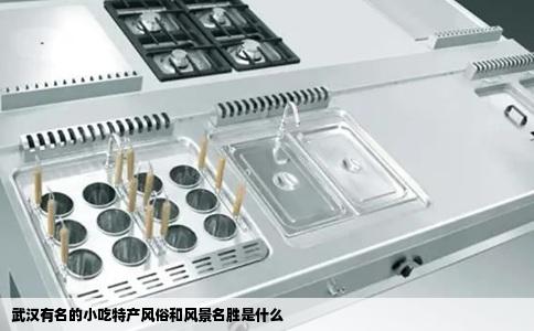 武汉有名的小吃特产风俗和风景名胜是什么