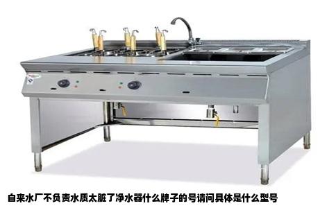 自来水厂不负责水质太脏了净水器什么牌子的号请问具体是什么型号