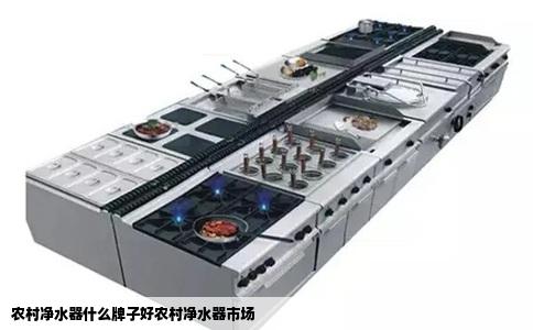 农村净水器什么牌子好农村净水器市场