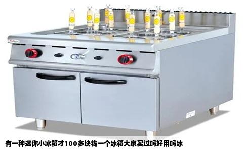 有一种迷你小冰箱才100多块钱一个冰箱大家买过吗好用吗冰
