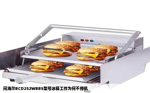 问海尔BCD252WBBS型号冰箱工作为何不停机
