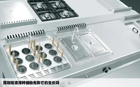 用咖啡渣滓种植物有助它的生长吗