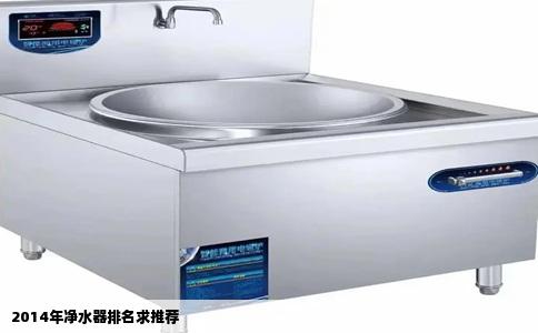 2014年净水器排名求推荐