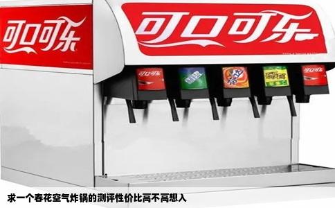 求一个春花空气炸锅的测评性价比高不高想入