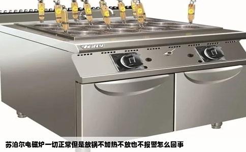 苏泊尔电磁炉一切正常但是放锅不加热不放也不报警怎么回事