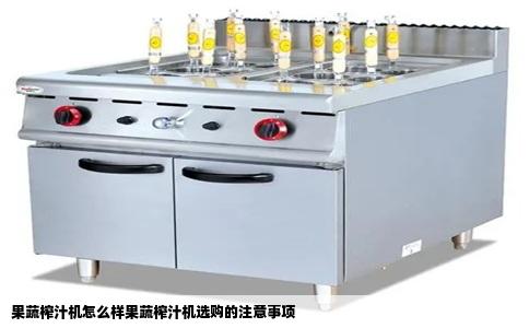 果蔬榨汁机怎么样果蔬榨汁机选购的注意事项