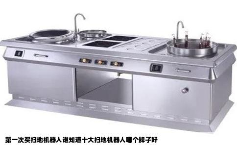 第一次买扫地机器人谁知道十大扫地机器人哪个牌子好