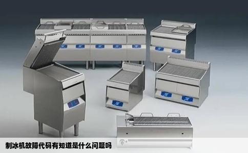 制冰机故障代码有知道是什么问题吗