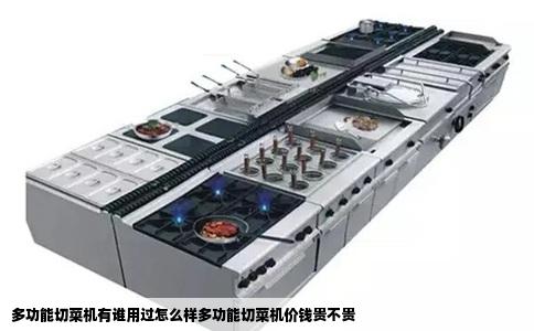 多功能切菜机有谁用过怎么样多功能切菜机价钱贵不贵