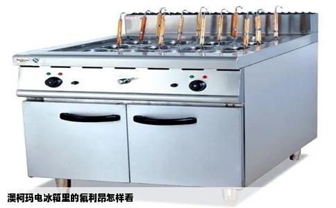 澳柯玛电冰箱里的氟利昂怎样看