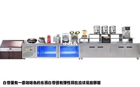 白带里有一条咖啡色的东西白带很有弹性现在应该是排卵期