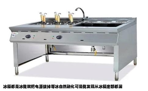 冰箱都是冰我就把电源拔掉等冰自然融化可是我发现从冰箱底部都漏