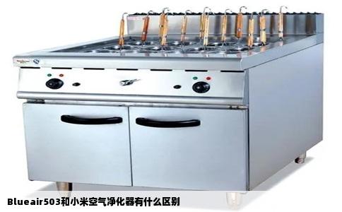 Blueair503和小米空气净化器有什么区别