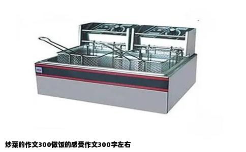 炒菜的作文300做饭的感受作文300字左右