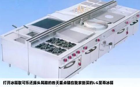 打开冰箱取可乐还摇头晃脑的昨天差点磕在我家新买的LG至尊冰箱