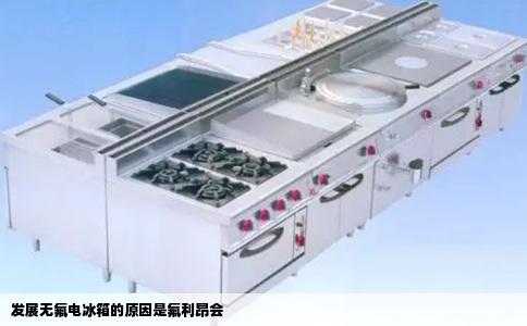 发展无氟电冰箱的原因是氟利昂会