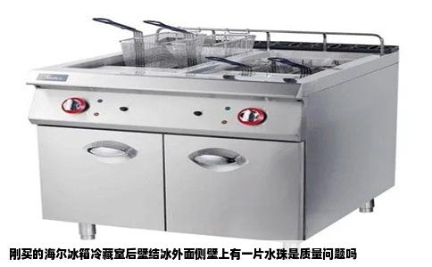 刚买的海尔冰箱冷藏室后壁结冰外面侧壁上有一片水珠是质量问题吗