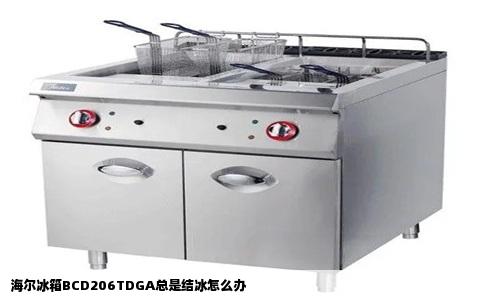 海尔冰箱BCD206TDGA总是结冰怎么办