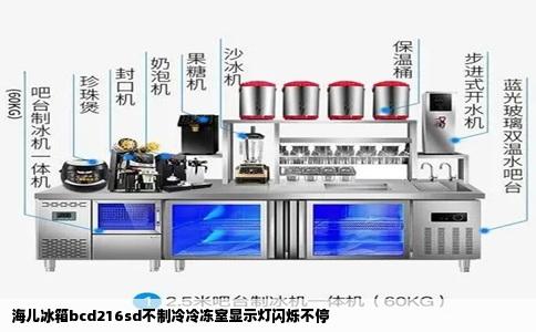海儿冰箱bcd216sd不制冷冷冻室显示灯闪烁不停