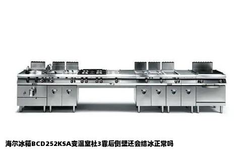 海尔冰箱BCD252KSA变温室社3靠后侧壁还会结冰正常吗