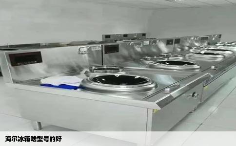 海尔冰箱啥型号的好