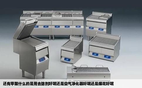 还有甲醛什么的是用去除剂好呢还是空气净化器好呢还是摆花好呢