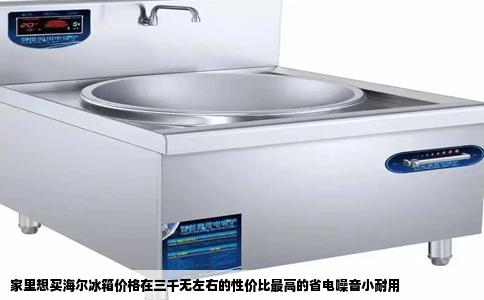 家里想买海尔冰箱价格在三千无左右的性价比最高的省电噪音小耐用