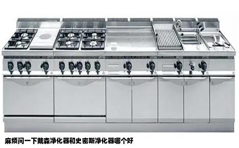 麻烦问一下戴森净化器和史密斯净化器哪个好