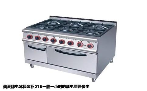 美菱牌电冰箱容积218一般一小时的耗电量是多少