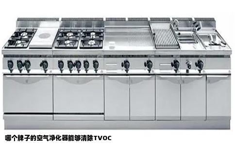 哪个牌子的空气净化器能够清除TVOC