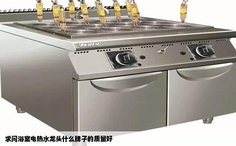 求问浴室电热水龙头什么牌子的质量好