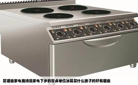区哪些家电商场是家电下乡的定点单位冰箱买什么牌子的好有哪些