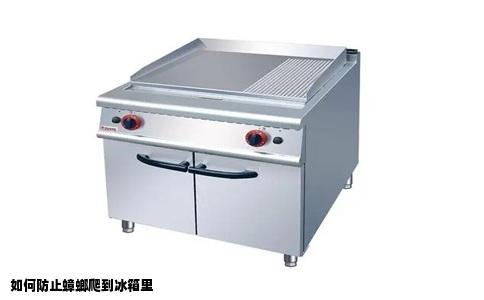 如何防止蟑螂爬到冰箱里