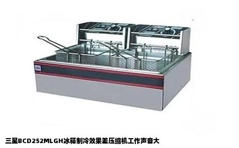 三星BCD252MLGH冰箱制冷效果差压缩机工作声音大