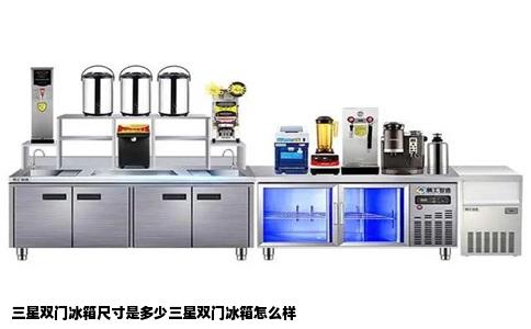 三星双门冰箱尺寸是多少三星双门冰箱怎么样