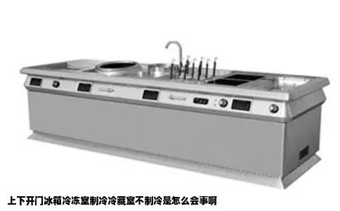 上下开门冰箱冷冻室制冷冷藏室不制冷是怎么会事啊