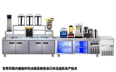 世界范围内哪些好的冰箱品牌有自己的压缩机生产技术