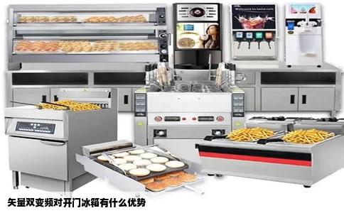 矢量双变频对开门冰箱有什么优势