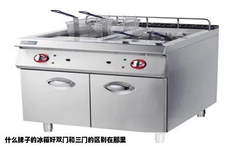 什么牌子的冰箱好双门和三门的区别在那里