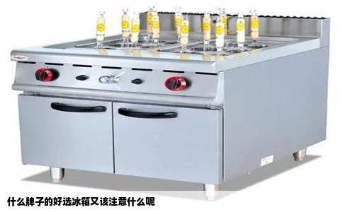 什么牌子的好选冰箱又该注意什么呢