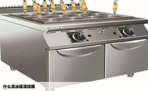 什么是冰箱温控器