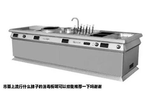 市面上流行什么牌子的消毒柜呢可以给我推荐一下吗谢谢