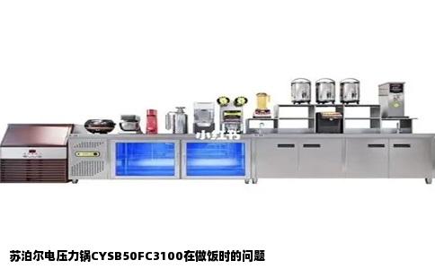 苏泊尔电压力锅CYSB50FC3100在做饭时的问题