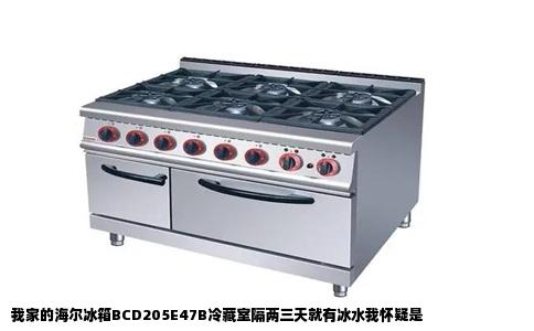 我家的海尔冰箱BCD205E47B冷藏室隔两三天就有冰水我怀疑是