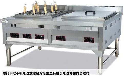 想问下把手机电池放冰箱冷冻室里有延长电池寿命的功效吗